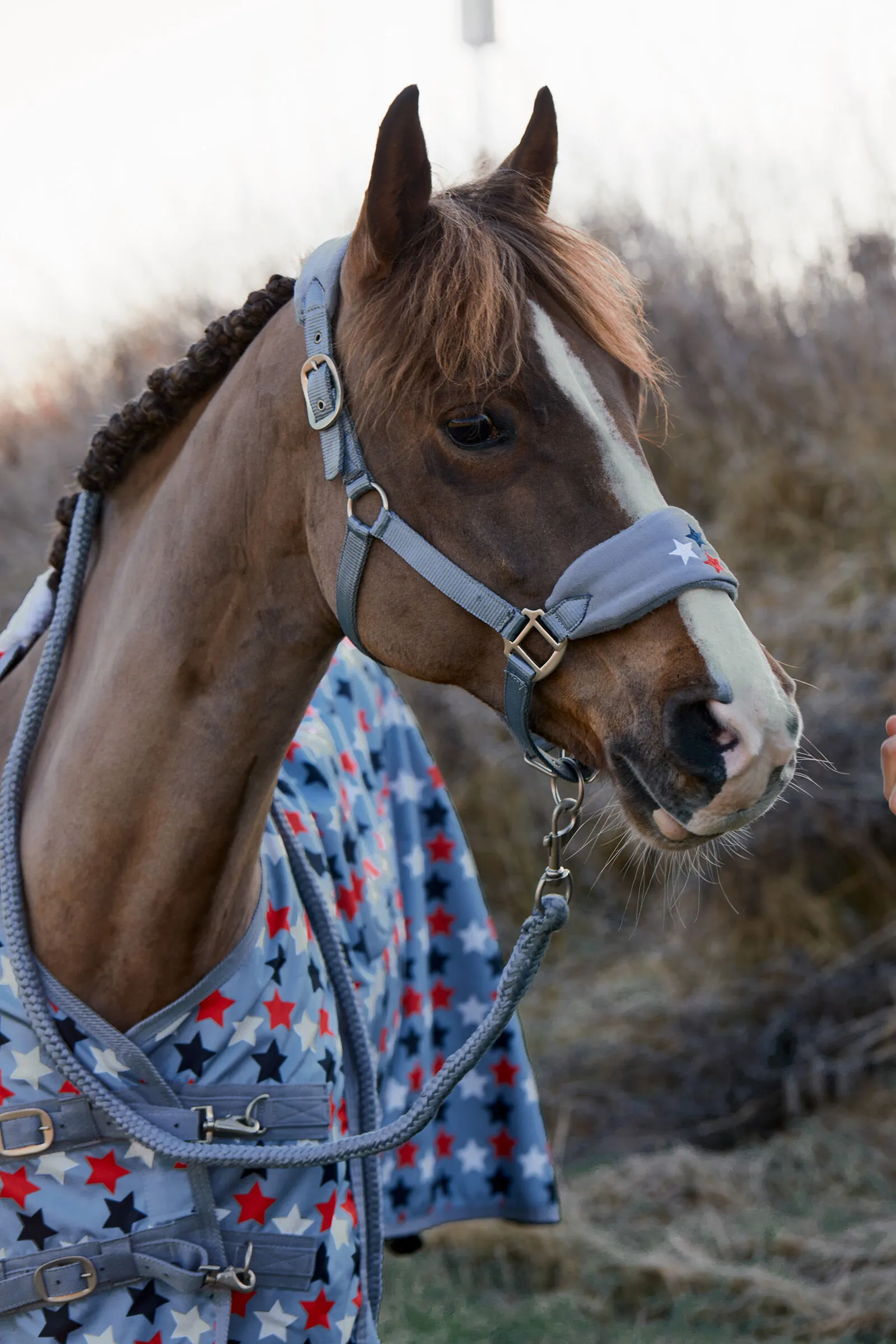 Horze Alex Capezza in pile per pony