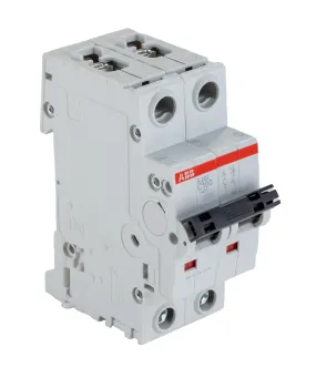 Interruttore magnetotermico ABB, 2P 100A 6 kA, Tipo C