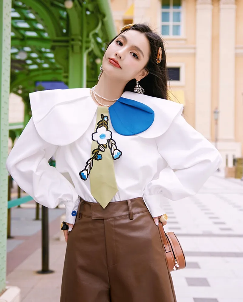Personalità Camicia asimmetrica con risvolto largo Inizio autunno Nuovo design originale Top da donna a maniche lunghe